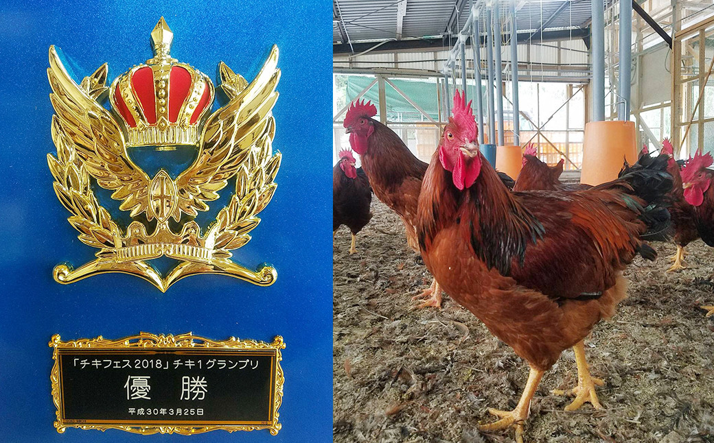 熊本 天草大王 大手羽 12本 （3本×4パック）