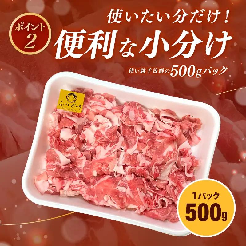 【ブランド豚】ふくいポーク 切り落とし 3kg 国産豚肉 冷凍  [e02-b016]