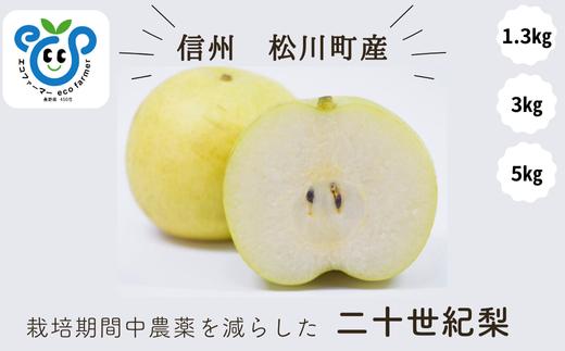 
            【信州松川町産】 二十世紀梨 約1.3kg～約5kg ／9月後半発送開始予定 // 長野県 南信州  減農薬栽培 和梨 なし ナシ 20世紀 ２０世紀 エコファーマー認証 農家支援 HF
          