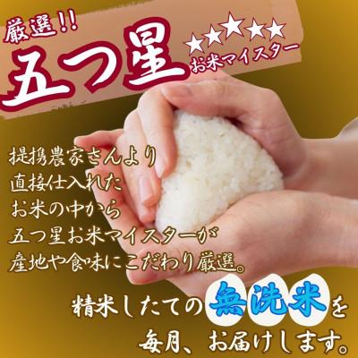 ふるさと納税 伊万里市 【毎月定期便】【無洗米】さがびより 5kg 《マイスターセレクト》(伊万里市)全6回 |  | 02