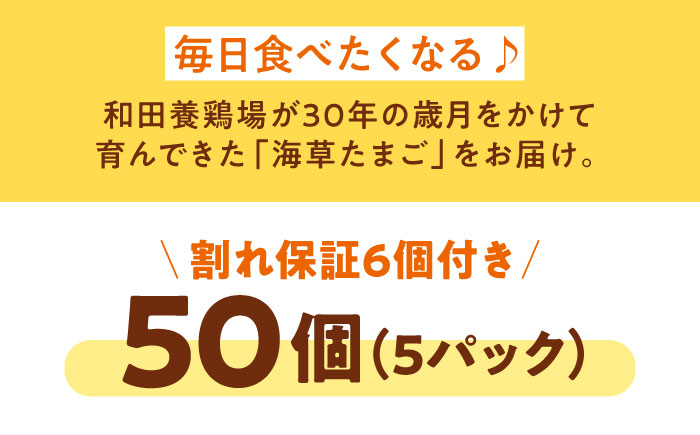 平飼い 海草たまご 5パック（50個入り）割れ保証あり 愛媛県大洲市/和田養鶏場 卵 たまご 鶏卵 卵料理 玉子 [AGDQ002]