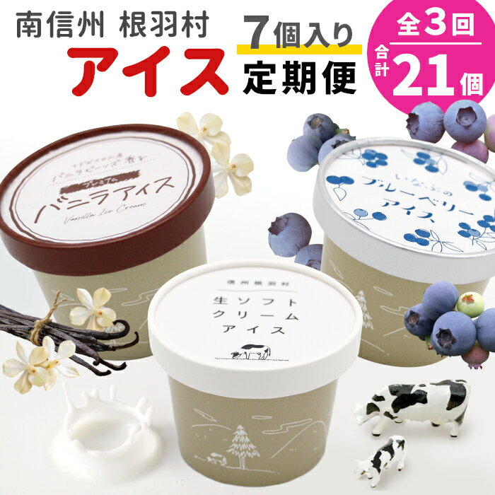 【ふるさと納税】 全3回★3種類のアイス定期便☆2026年1月発送〜 南信州根羽村産アイス が毎月7個届く！ 合計21個 アイス アイスクリーム 定期便 生ソフトクリームアイス バニラアイス ブルーベリー 果物 ジャム 長野県 根羽村 ソフトクリーム スイーツ 15000円 15,000円