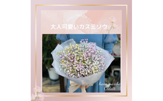 虹色カスミソウ (かすみ草) 花束 (ピンク) 花マルシェCodatt優しく癒され度100% 敬老の日 [0354]