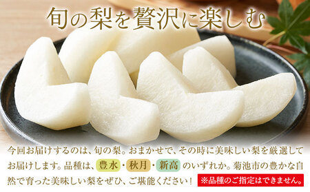 【先行予約】旬の梨 品種おまかせ 約1.8kg 日本フルーツ株式会社《2026年8月上旬-10月上旬頃出荷》熊本県 菊池市 梨 なし 豊水 秋月 新高 和梨 熊本県産