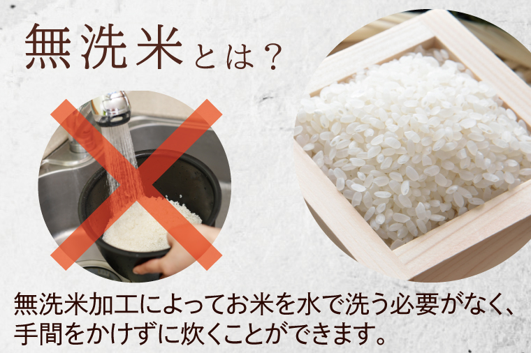 令和6年産無洗米茨城コシヒカリ5㎏×2【お米 こめ 米 こしひかり 無洗米 茨城県 茨城県産】（LL-2）