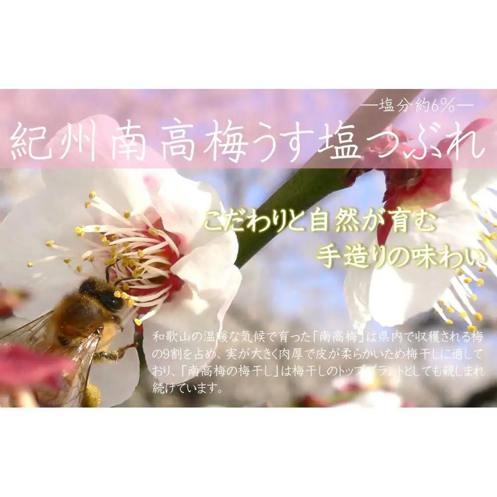 【定期便・2ヵ月毎 全5回】ご家庭用 紀州南高梅 うす塩 つぶれ 700g×2 ［YM15］