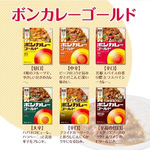 【定期便 全9回】ボンカレーゴールド（大辛）30個×9回　計270個