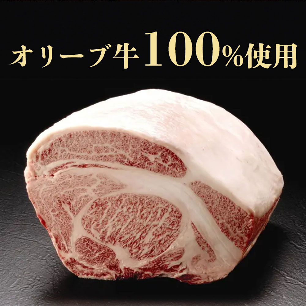 M04-2006-4_オリーブ牛100％ ハンバーグ120g×4　食べ応え十分！解凍して焼くだけ！