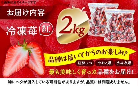 冷凍苺 2kg 果物 フルーツ 紅ほっぺ やよい姫 かんな姫 愛西市 / くぼ苺農園 【配達不可：離島】[AECJ026]