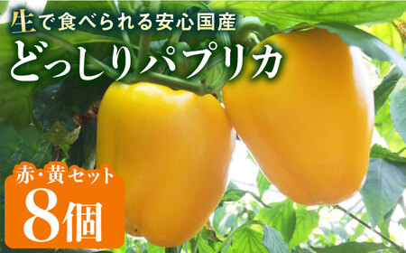 糸島産 肉厚 パプリカ 8個 福岡県 糸島市 / シーブ [AHC031] ピーマン ピーマン ピーマン ピーマン ピーマン ピーマン ピーマン 