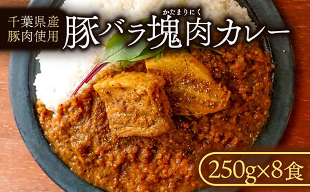 豚バラ 塊 肉 カレー (8食入り) カレー 小分け 個包装 カレー 豚肉 豚 お肉 ポークカレー 冷凍 レトルト ポークカレー ポークカレー ポークカレー