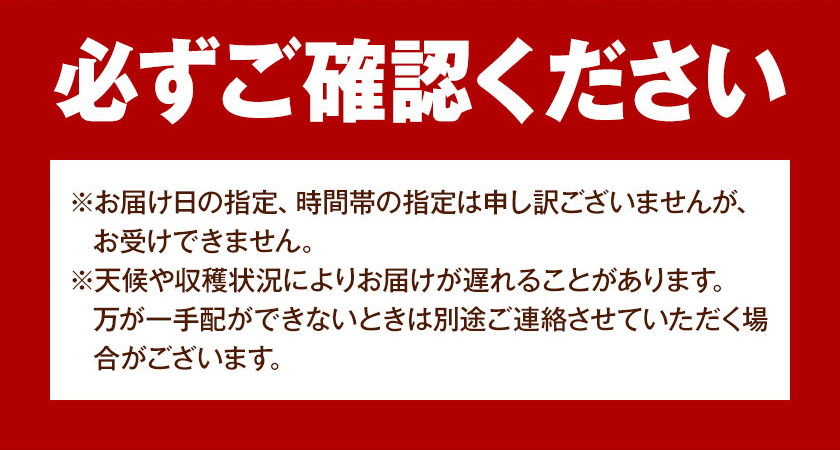 ご家庭用 岡山の白桃 （早生種） 約1.3kg 晴れの国 おかやま館(つむぐ株式会社) 《 6月下旬-8月上旬頃発送》岡山県 浅口市 白桃 桃 果物