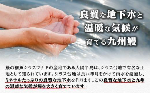 【訳あり】超特大 鹿児島県産うなぎ無頭蒲焼4尾　計880g以上