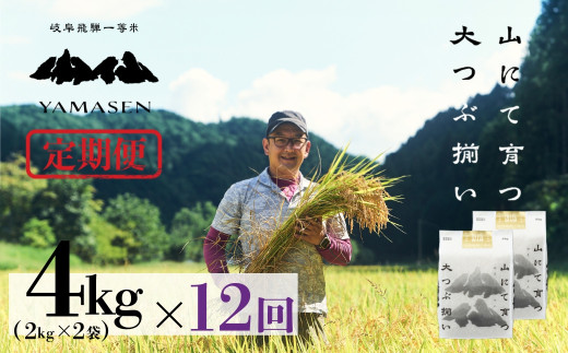 新米先行予約【2026年産米】【定期便】2kg×2袋（4kg）×12回（2026年10月中旬から発送）山仙（いのちの壱）すがたらいす 下呂市金山産 令和8年産 毎月 4キロ×12カ月 お米 精米 下呂温泉 下呂市 米  ブランド米