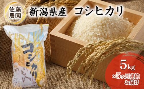 新潟県産　コシヒカリ【佐藤農園】5kg×5ヶ月連続お届け