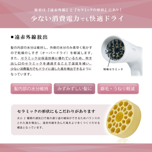 ドライヤー ケアライズ イオン プロドライヤー 強風 タイプ TF-2408 ダメージ 軽減 温風 冷風 優しい 髪 ヘアケア 強力 風量 調節 3段階 プロ仕様 静岡県 藤枝市 （ ﾄﾞﾗｲﾔｰ ﾄ