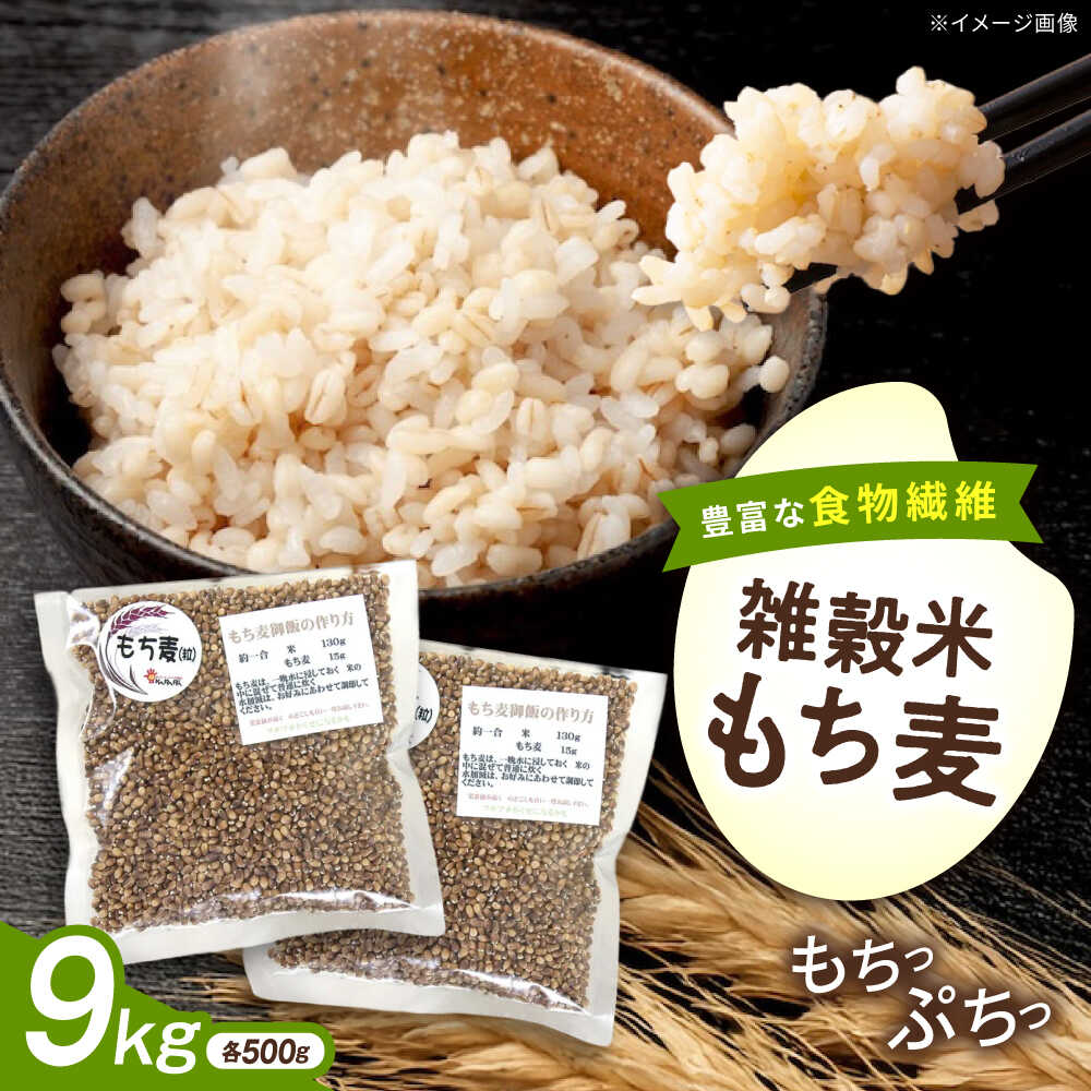 【ふるさと納税】内子町産もち麦9kg ／ 国産 雑穀米 もち麦 モチムギ モチ麦 もちむぎ 麦 むぎ ムギ ごはん おすすめ 食品 送料無料 米 内子町産 もち麦ごはん ご飯 食物繊維 人気 贈答 ギフト 9kg 9キロ 【株式会社内子フレッシュパークからり】[BKAD016] 42000 42000円