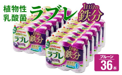 
										
										植物性乳酸菌ラブレ 1日分の鉄分36本[052S05]
									