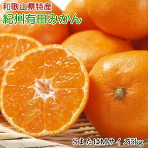  【2026年先行予約】【秀品】 和歌山 有田みかん 5kg (SサイズまたはMサイズ) 【ミカン 蜜柑 柑橘 温州みかん 有田みかん】_ZD6189n