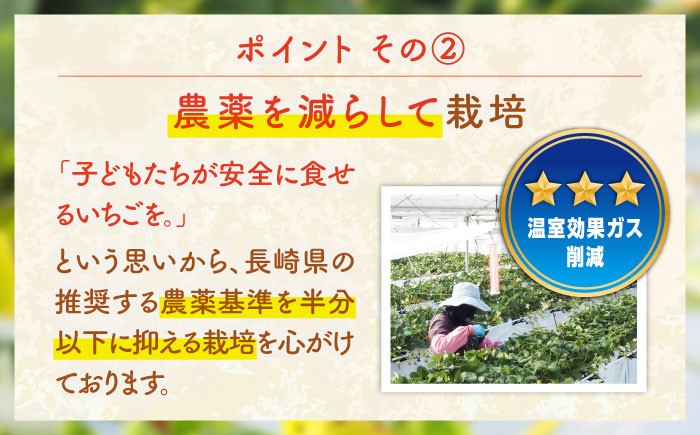 いちご イチゴ 苺 1kg 1キロ ゆめのか 恋みのり 2種 ミックス 詰め合わせ セット バラ バラ詰め 家庭用