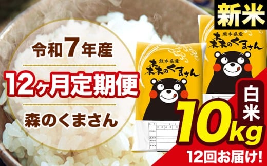 新米 令和7年産 森のくまさん 白米 10kg 5kg×2袋 計12回お届け 《1月から出荷開始》 お米 こめ 熊本県産 ご飯 備蓄