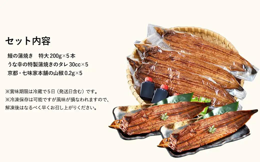 うな幸 国産うなぎ ふわとろ蒲焼き 大型5尾 特製タレ・山椒付き