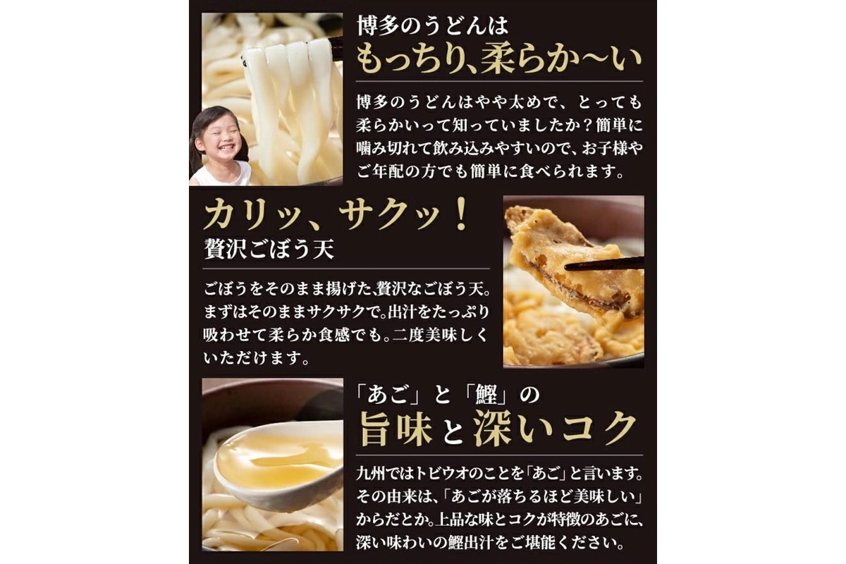 【A5-431】博多ごぼう天うどん　12食セット