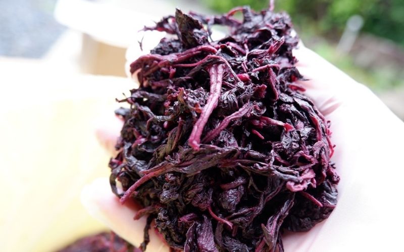 もみ紫蘇 200g 添加物不使用 / しそ シソ ウメ 梅干し 梅干 南高梅 紀州南高梅 和歌山県 田辺市 【aoi021】 