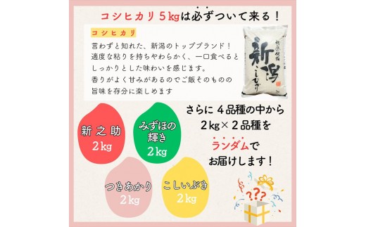 令和8年産 新潟県上越市産米 食べ比べ 9kg 【コシヒカリ 5kgと2kg×2品種】 新之助 こしいぶき つきあかり みずほの輝き ランダム おまかせ セット 【3月下旬発送】 新米 精米 米ヴィレ