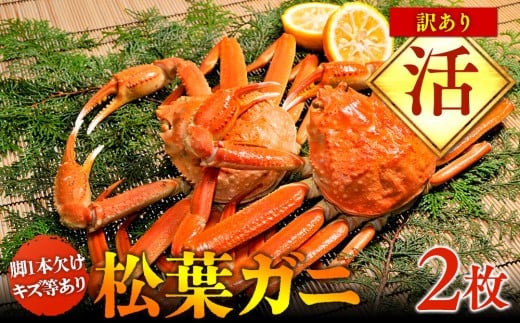 【活】訳あり 松葉ガニ 2枚 ※2025年11月上旬～2026年3月下旬頃に順次発送予定※着日指定不可｜ 蟹 かに 松葉ガニ 松葉蟹 訳あり 家庭用 鳥取県産 北栄町 おすすめ 人気