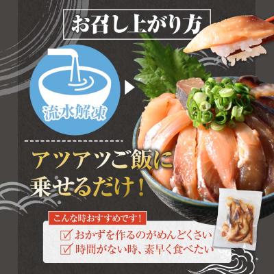 ふるさと納税 田野町 【四国一小さなまち】これが魚屋の漬け丼だ!〜アジ〜 80g×5P |  | 03