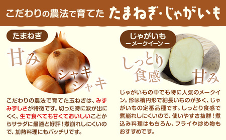 じゃがいも（メークイン）とたまねぎのセット 合計約10kg 野菜 《10月中旬から順次出荷》 橋枝物産 北海道 浦幌町