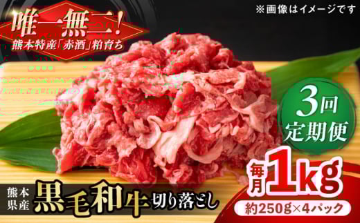 【全3回定期便】熊本県産 『原田畜産』 黒毛和牛 切り落とし 計約1kg（約250g×4パック） 牛肉 牛【有限会社 九州食肉産業】 [AYCN042]