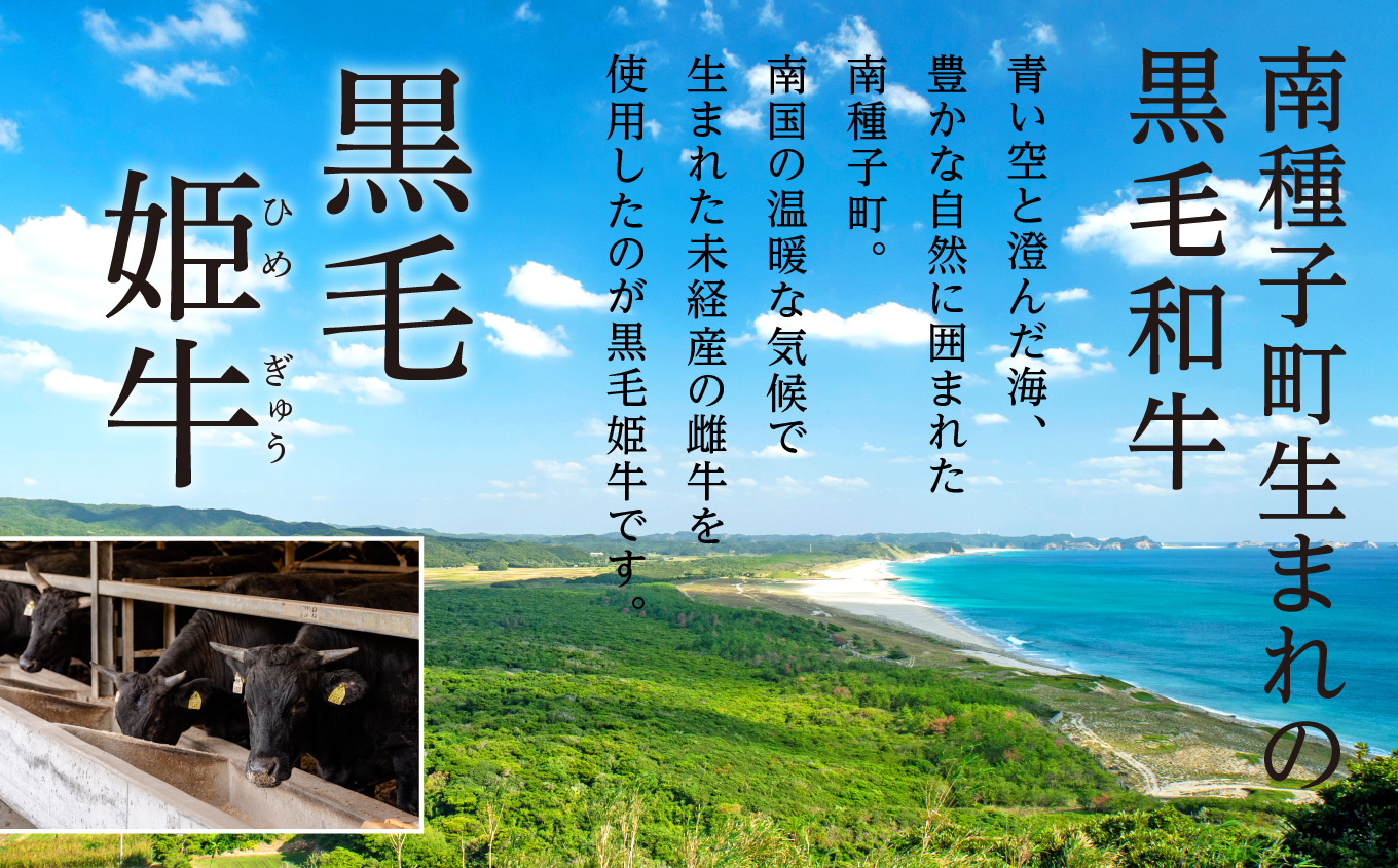 黒毛姫牛「ランプ・イチボステーキセット 各120g×2枚」A4未経産黒毛和牛【Meat you Kitchen姫ファーム】