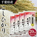 【ふるさと納税】No.162 令和6年産 千葉県産コシヒカリ5kg×4袋 ／ お米 白米 精米 こしひかり 20kg 送料無料 千葉県