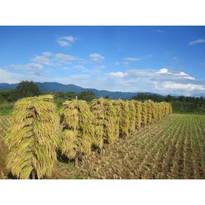 ふるさと納税 新庄市 【毎月定期便】米の匠みのりガーデン/最高金賞・世界最高米・金賞受賞米【受賞コシヒカリ】5kg全12回 |  | 03