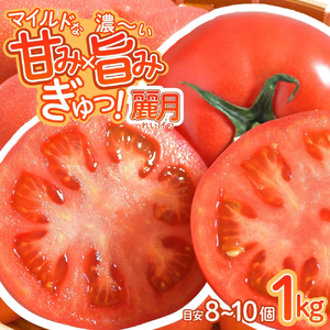 デリシャスファームのトマト(麗月)1キロ箱 ※沖縄・離島配送不可 / とまと 野菜 トマト【delf009】