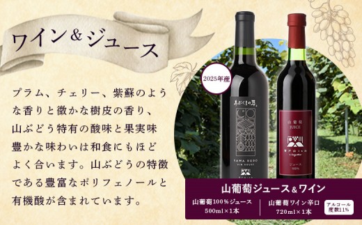山葡萄ジュース500ｍｌ 山葡萄ワイン辛口720ｍｌセット