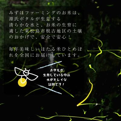 ふるさと納税 東松島市 【令和7年産米】 特別栽培米 ほたる米 ひとめぼれ 精米 10kg |  | 02