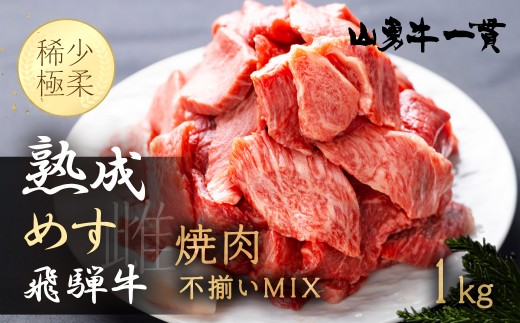 
                  ＜8月から寄附額改定＞飛騨の牧場で育った熟成飛騨牛『山勇牛』焼肉 切り落とし 切落し 訳あり 訳アリ わけあり ワケアリ 不揃い ミックス 希少部位入り 1kg A4・A5ランク飛騨牛
                