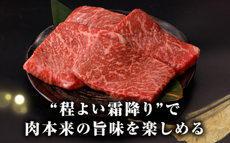 【全6回定期便】【A4〜A5ランク】長崎和牛 モモ ステーキ 1.2kg(150g×8枚)【野中精肉店】 牛 牛肉  和牛 長崎和牛 国産 ステーキ ギフト 贈答用 冷凍配送 A4 A5[JGC053