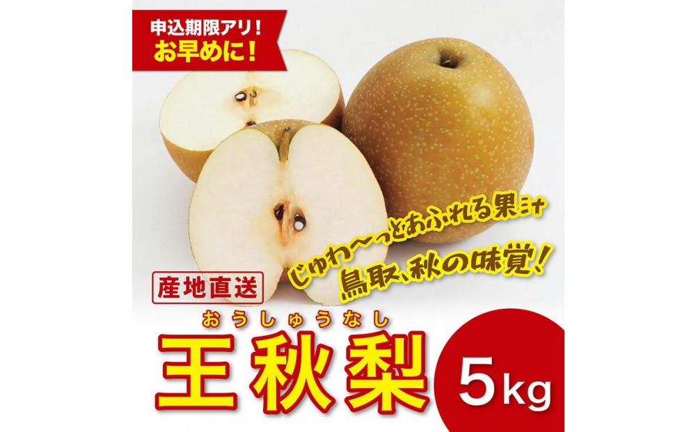 
                  王秋梨 5キロ【安田農園】
                