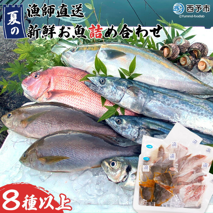 【ふるさと納税】＜漁師直送 夏の新鮮お魚詰め合わせ 8種以上＞ 魚 詰め合わせ 海鮮 海産物 海鮮セット イサキ 処理済み 麹漬け 明浜産 二ノ宮商事株式会社 愛媛県 西予市【冷凍】『2025年5月～9月末迄に順次出荷予定』