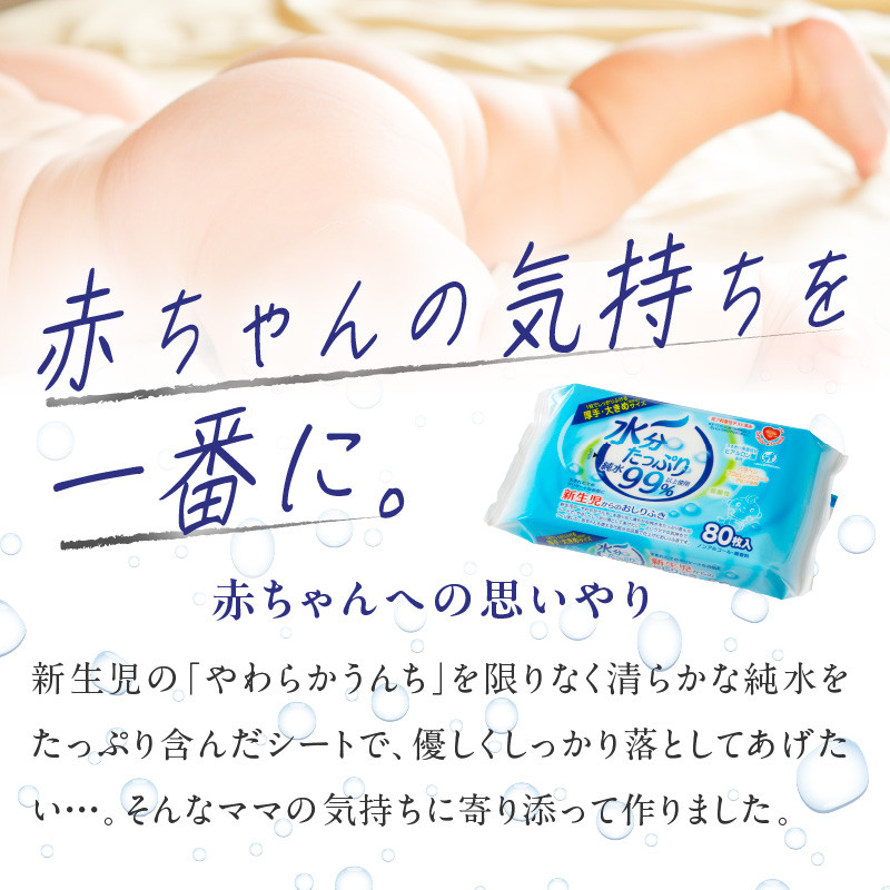 【2回定期便】水分たっぷり純水99％ おしりふき80枚入×3Ｐ×12セット（計72個）