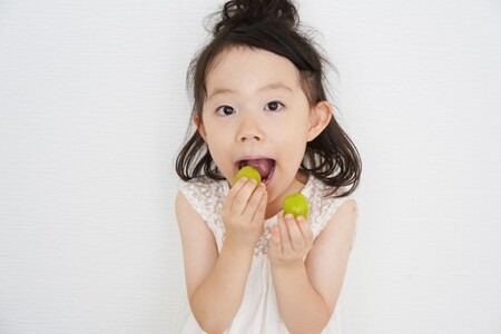 発送中 ! シャインマスカット 約 1 kg ～ 1.2kg ( 2 ～ 3房 ）贈答用 | フルーツ 果物 くだもの ぶどう 葡萄 ブドウ マスカット シャインマスカット 長野県 信州 千曲市