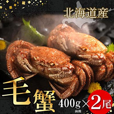 ふるさと納税 根室市 ボイル毛がに400g前後×2尾 F-07010