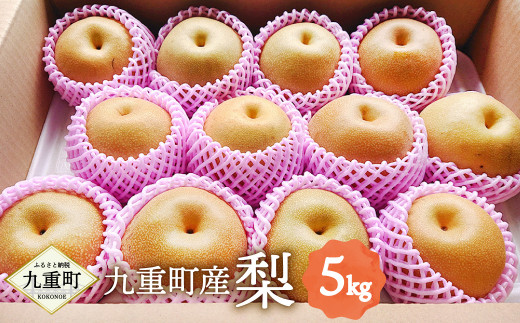 九重町産 梨 約5kg 豊水 新高 果物 フルーツ 大分県産 【2026年9月上旬～10月上旬発送予定】