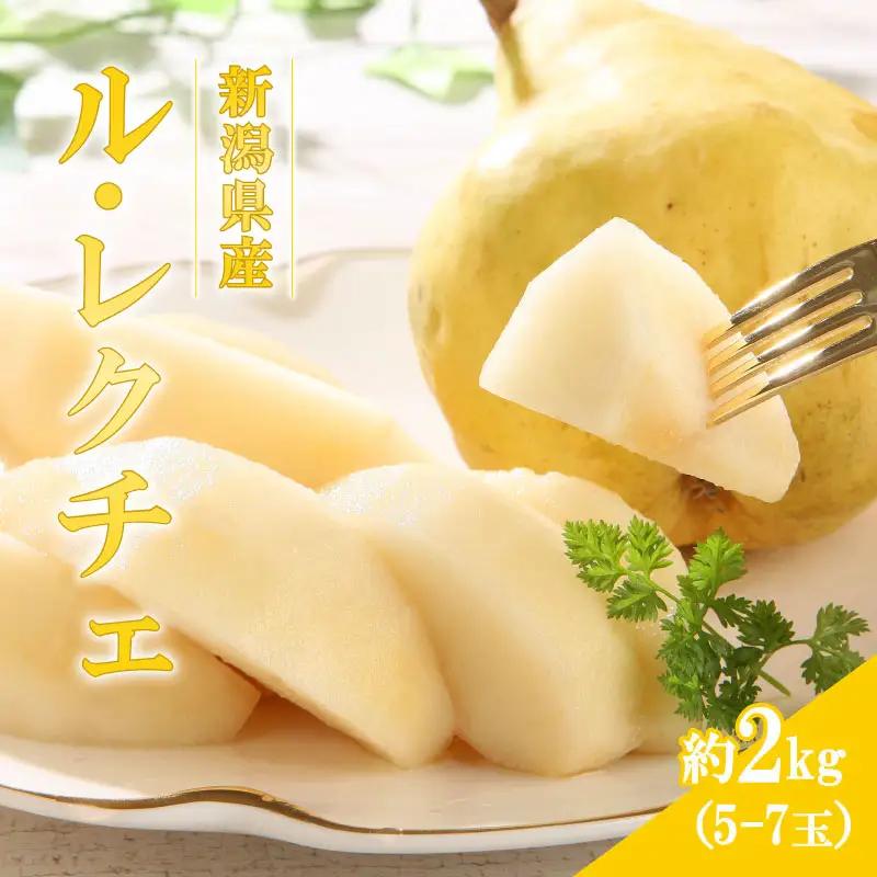 【2026年先行予約】新潟県産 西洋梨 ル・レクチェ 5~7玉  《11月下旬～12月頃発送》