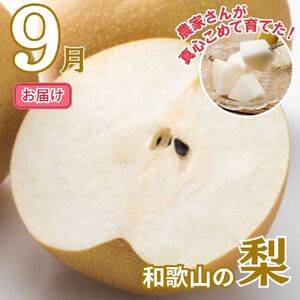 【全2回】かつらぎ町のフルーツ定期便（桃・梨）【8月・9月】【tkb426】