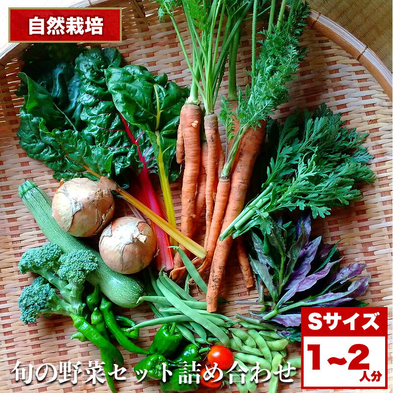 【ふるさと納税】自然栽培 旬の野菜セット 詰め合わせ Sサイズ 1～2人分 ｜ 野菜 セット 詰め合わせ 自然栽培 農薬不使用 旬 やさい サラダ 採れたて とれたて 新鮮 季節限定 長野県 飯田市 信州